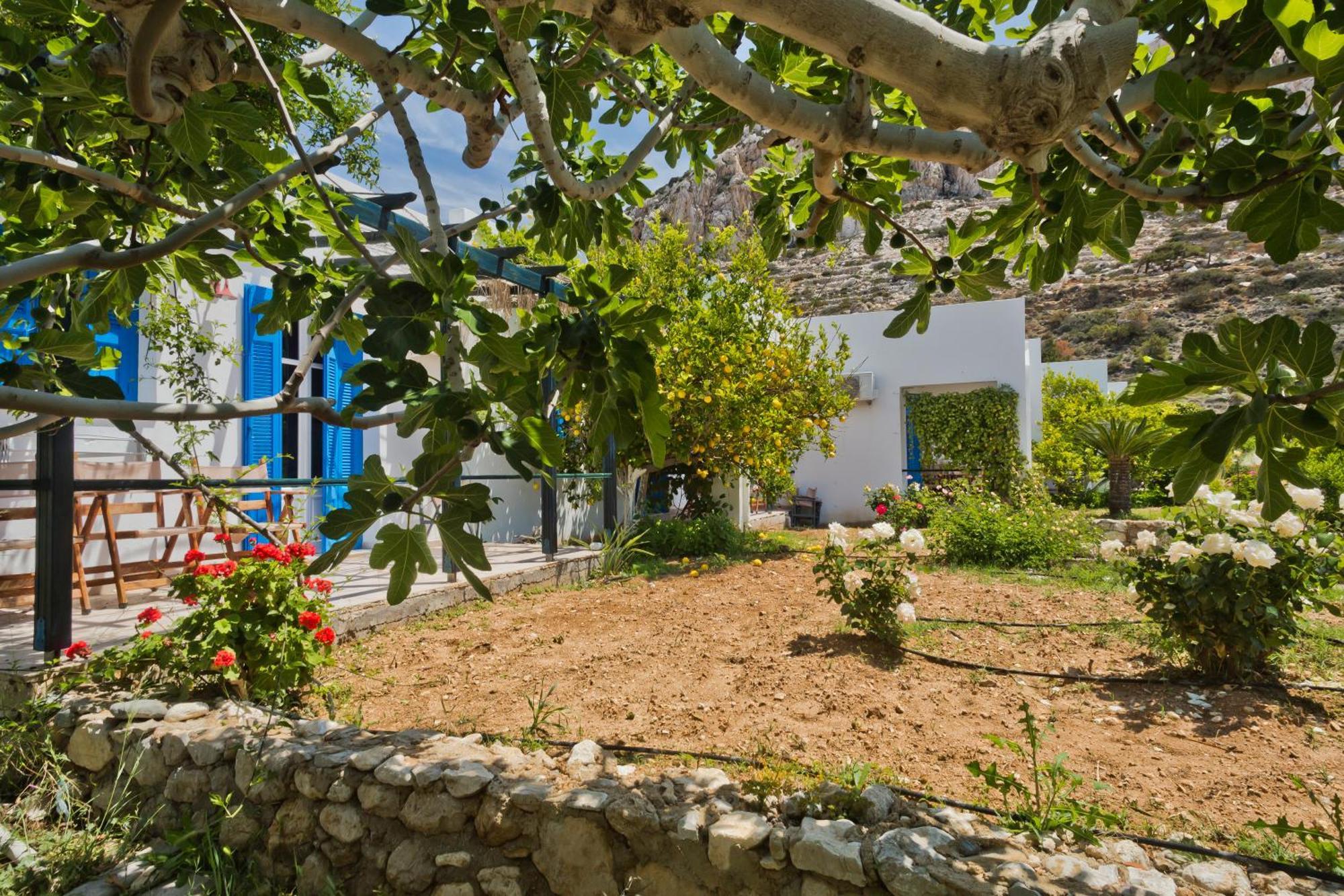 Pleiades Apartments Lefkos  Exterior foto