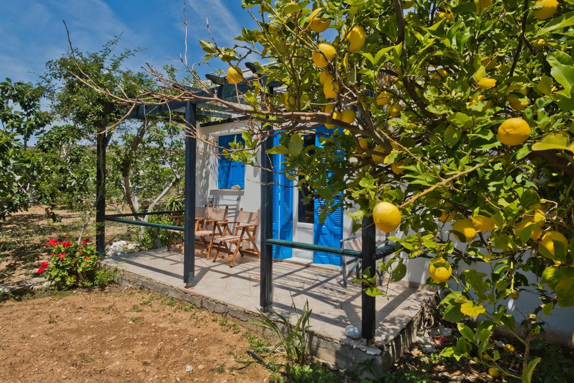 Pleiades Apartments Lefkos  Exterior foto